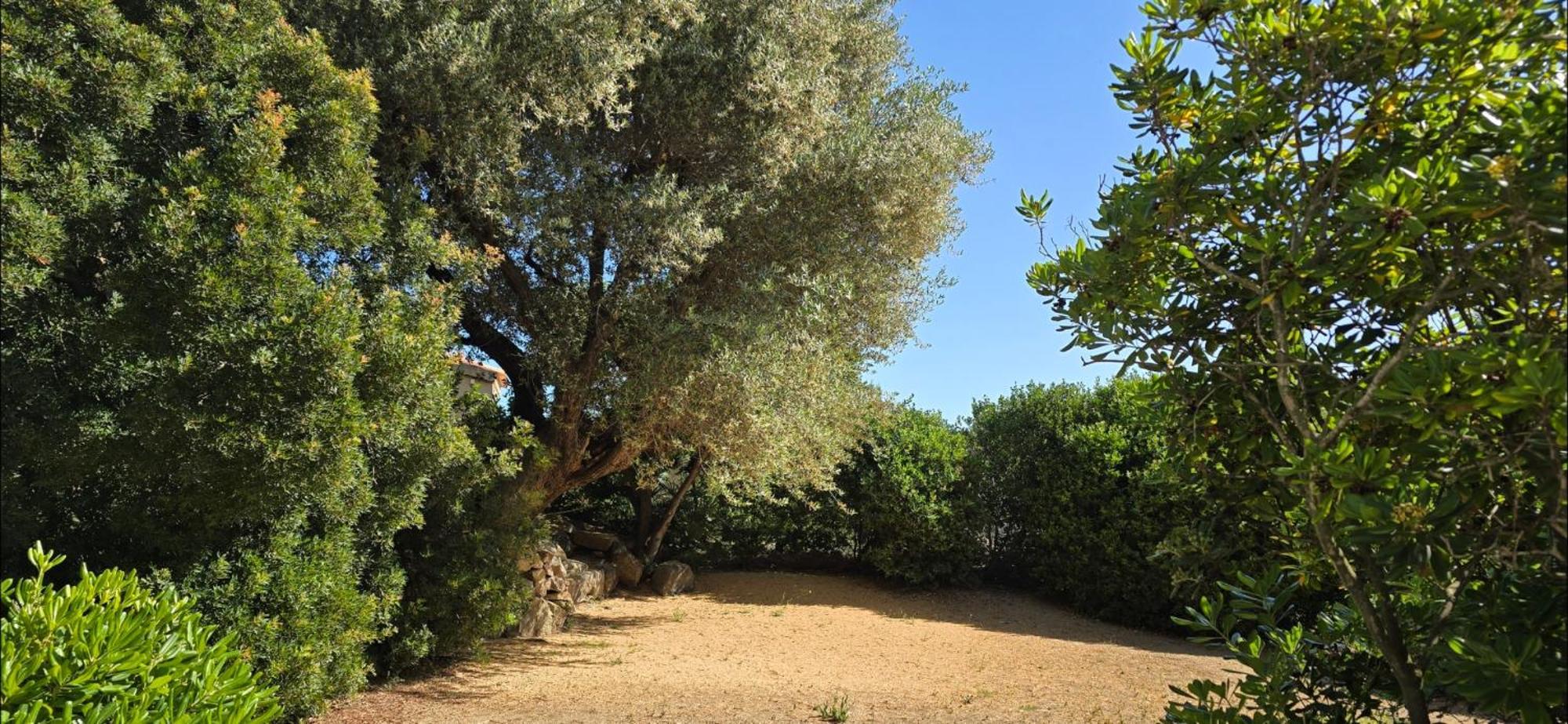 Hotel Cala Di L'Oru Л'Іль-Русс Екстер'єр фото