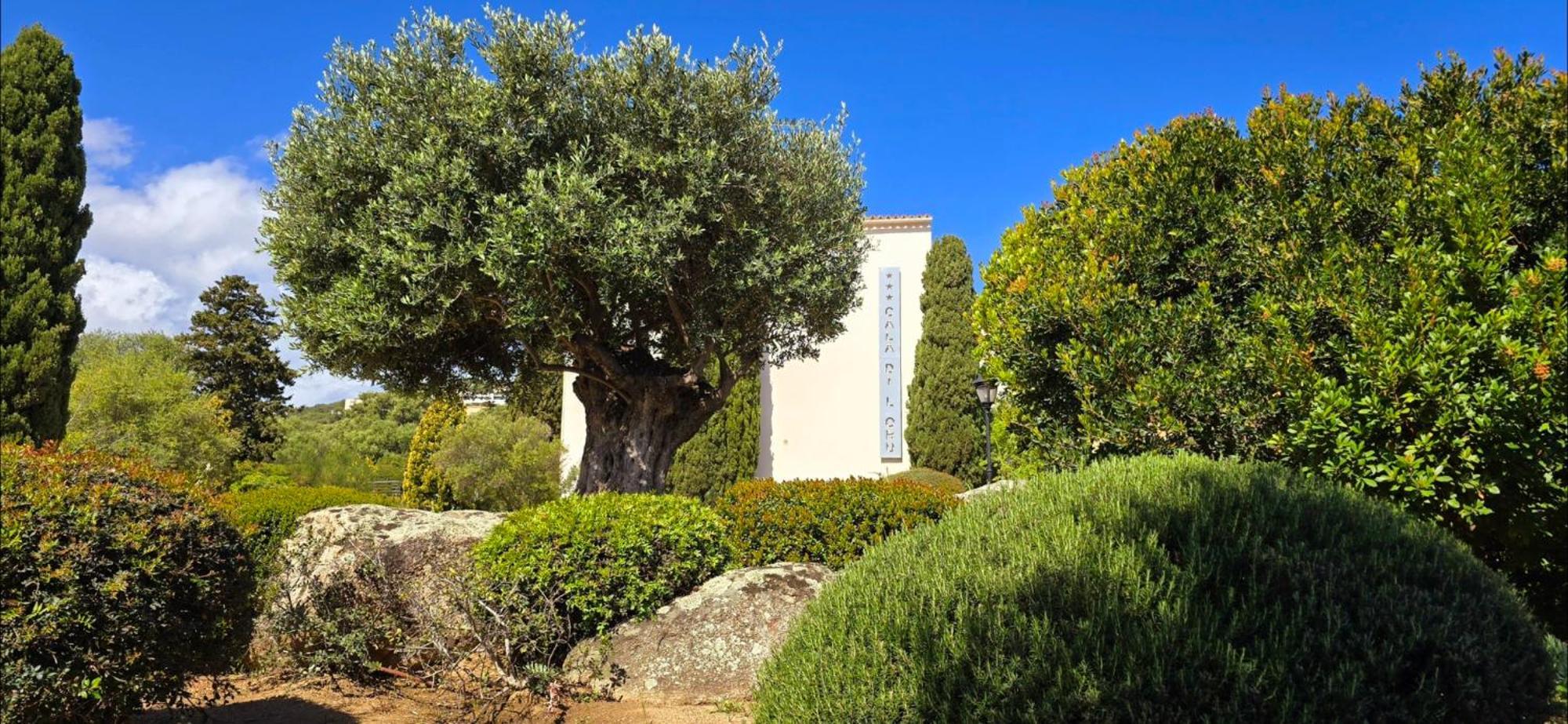Hotel Cala Di L'Oru Л'Іль-Русс Екстер'єр фото